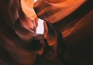 The Nature image by Unsplash (6)